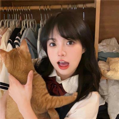 大清神捕2封面